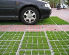 В Челнах будут парковаться на газонах?